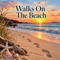 Walks On The Beach